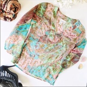 -J Marco Sheer V Neck Top